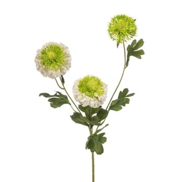 Branche artificielle Scabieuse caucasica ANAYS, blanc-vert, 80cm