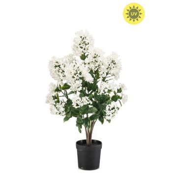 artificiel Lilas Strauch TRIGA en pot décoratif, crossdoor, blanc, 65cm artificiel Lilas Strauch TRIGA en pot décoratif, crossdoor, blanc, 65cm