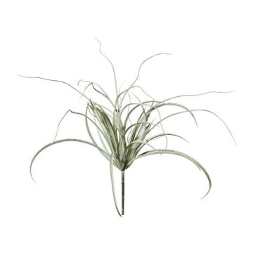 Herbe artificielle Zostère DELVI sur piquet, gris, 50cm
