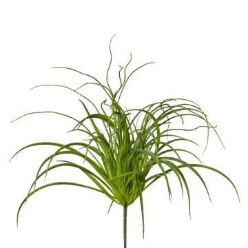 Herbe artificielle Zostère DELVI sur piquet, touffue, vert, 50cm