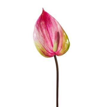 Fleur artificielle Anthurium GRUNT, rose, 75cm