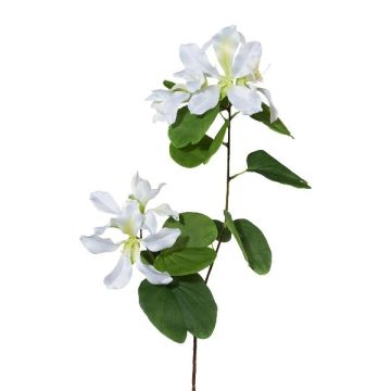 Branche décorative Bauhinia DRELMO, blanc, 85cm
