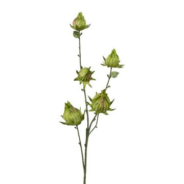 Branche décorative de boutons d'hibiscus VELHIN, verte, 60 cm Branche décorative de boutons d'hibiscus VELHIN, verte, 60 cm