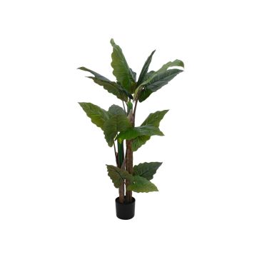 Plante artificielle Alocasia Calidora PATRICIUS, vert, 140cm Plante artificielle Alocasia Calidora PATRICIUS, vert, 140cm