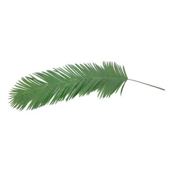 Palme de cocotier en tissu GLORINA, 180cm
