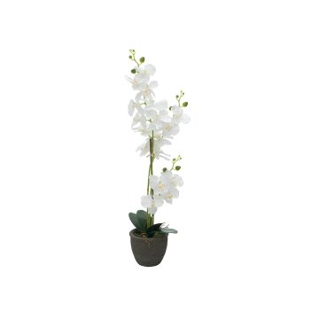 Fausse orchidée Phalaenopsis KATALIN, pot décoratif, blanc, 80cm Fausse orchidée Phalaenopsis KATALIN, pot décoratif, blanc, 80cm