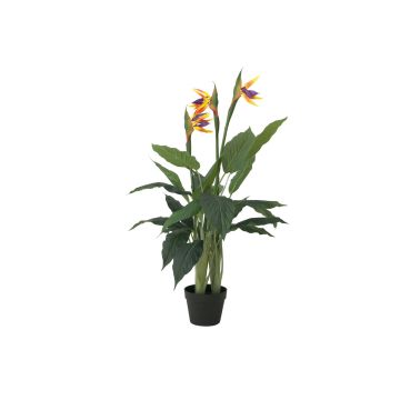 Strelizia artificiel LAKISHA, jaune-violet, 90cm