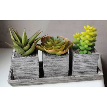 Arrangement de fausses succulentes SYLVIA, pots décoratifs, vert, 19x7,5x11cm