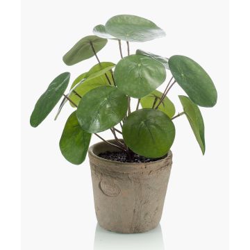 Pilea peperomioides artificiel SYBIL en pot en terre cuite, vert, 20cm Pilea peperomioides artificiel SYBIL en pot en terre cuite, vert, 20cm