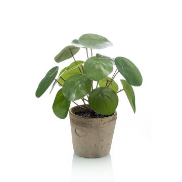 Pilea peperomioides artificiel SYBIL en pot en terre cuite, vert, 20cm