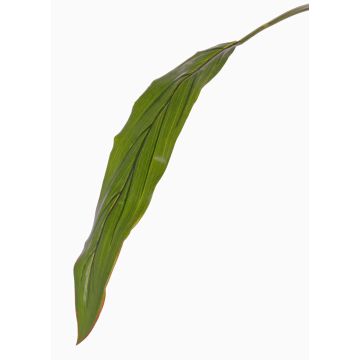 Fausse feuille de cordyline ELARA, vert, 90cm Fausse feuille de cordyline ELARA, vert, 90cm