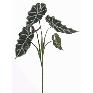 Alocasia Sanderiana en plastique MATHEA sur piquet, vert-blanc, 75cm Alocasia Sanderiana en plastique MATHEA sur piquet, vert-blanc, 75cm