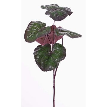 Ligulaire dentée japonais en plastique NIEVES, vert-violet, 85cm