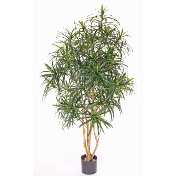 Dracéna Reflexa artificiel PHILOMENA, véritables troncs, vert, 160cm
