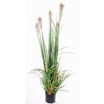 Roseau artificiel EYOTA avec panicules, vert-brun, 150cm Roseau artificiel EYOTA avec panicules, vert-brun, 150cm