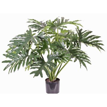 Faux philodendron Selloum SILAS, 80cm Faux philodendron Selloum SILAS, 80cm