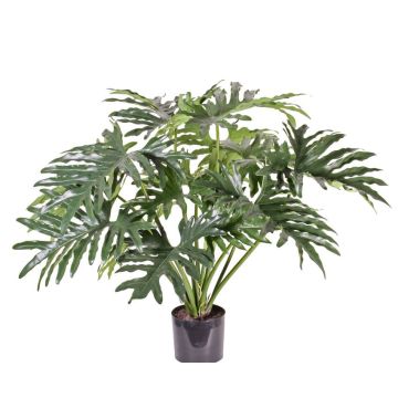 Faux philodendron Selloum SILAS, 80cm Faux philodendron Selloum SILAS, 80cm