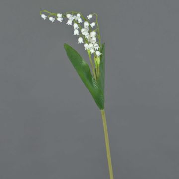 Muguet artificiel SORAYA, blanc, 35cm, Ø1cm Muguet artificiel SORAYA, blanc, 35cm, Ø1cm