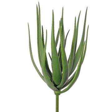 Aloe Vera artificiel LAURENA, vert, sur piquet, 65cm, Ø25cm