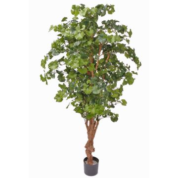 Ginkgo artificiel CAI, tronc naturel, 180cm