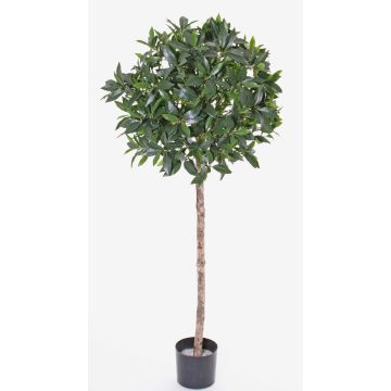 Boule de laurier artificielle ALEXIOS, véritable tronc, fruits, 145cm, Ø60cm Boule de laurier artificielle ALEXIOS, véritable tronc, fruits, 145cm, Ø60cm