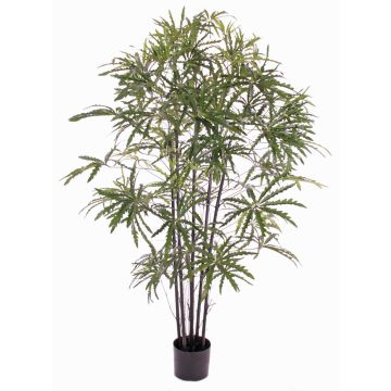 Aralia artificiel CARLIE, troncs artificiels, vert, 150cm