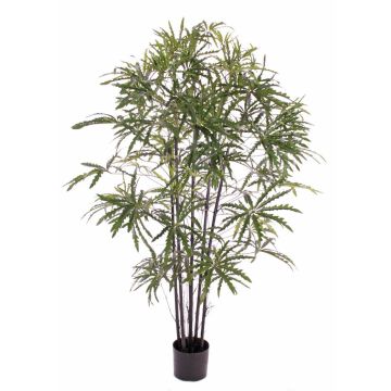 Aralia artificiel CARLIE, troncs artificiels, vert, 150cm