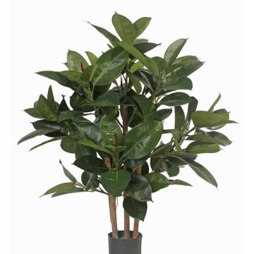 Caoutchouc artificiel KAYDEN, troncs naturels, vert, 80cm