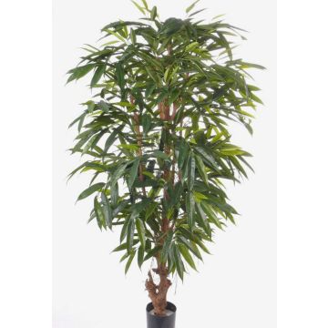 Longifolia artificiel MARLIT, tronc naturel, 180cm Longifolia artificiel MARLIT, tronc naturel, 180cm