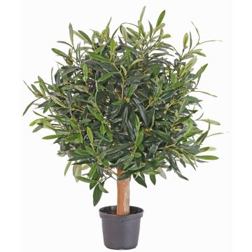 Olivier artificiel WYNONA, tronc naturel, fruits, 50cm