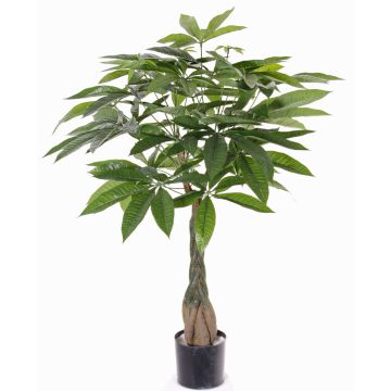 Pachira artificiel CASSIAN, tronc artificiel, 90cm Pachira artificiel CASSIAN, tronc artificiel, 90cm