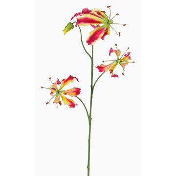 Gloriosa artificielle TIANA, rose fuchsia-vert, 80cm, Ø8-15cm Gloriosa artificielle TIANA, rose fuchsia-vert, 80cm, Ø8-15cm