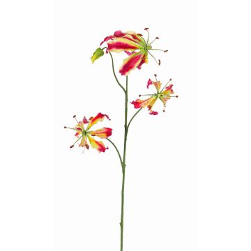 Gloriosa artificielle TIANA, rose fuchsia-vert, 80cm, Ø8-15cm