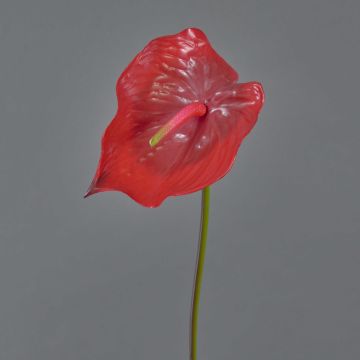 Anthurium artificiel MOIRA, rouge, 75cm, 13x20cm
