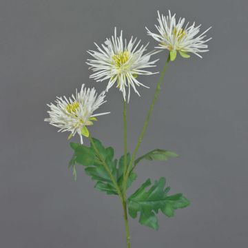 Chrysanthème artificiel SOLVIE, crème, 70cm, Ø10cm Chrysanthème artificiel SOLVIE, crème, 70cm, Ø10cm