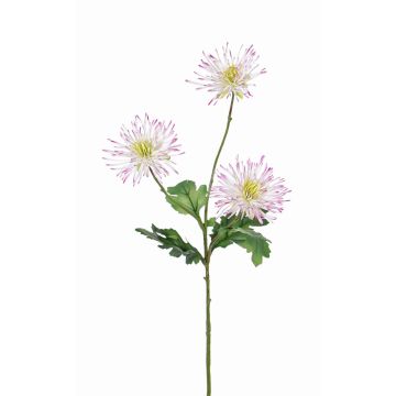 Chrysanthème artificiel SOLVIE, blanc-rose, 70cm, Ø10cm Chrysanthème artificiel SOLVIE, blanc-rose, 70cm, Ø10cm