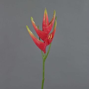 Fleur de heliconia artificielle TOMKE, rouge-vert, 80cm, Ø30cm