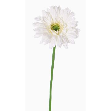 Gerbera en tissu HELLI, crème, 65cm, Ø12cm Gerbera en tissu HELLI, crème, 65cm, Ø12cm