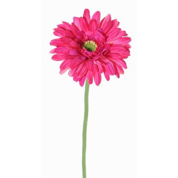 Gerbera en tissu HELLI, fuchsia, 65cm, Ø12cm Gerbera en tissu HELLI, fuchsia, 65cm, Ø12cm