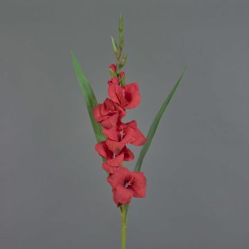 Glaïeul artificiel ELEA, rouge, 85cm, Ø3-10cm