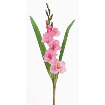 Glaïeul artificiel ELEA, rose, 85cm, Ø3-10cm Glaïeul artificiel ELEA, rose, 85cm, Ø3-10cm