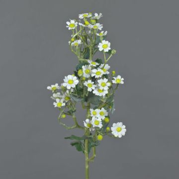 Grande camomille artificielle FEMKE, blanc, 60cm, Ø1,5-2cm