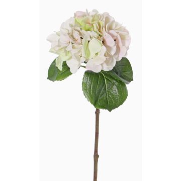 Hortensia artificiel CHIDORI, rose-crème, 60cm, Ø20cm Hortensia artificiel CHIDORI, rose-crème, 60cm, Ø20cm