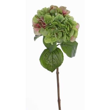 Hortensia artificiel CHIDORI, vert-rose, 60cm, Ø20cm Hortensia artificiel CHIDORI, vert-rose, 60cm, Ø20cm