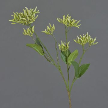 Branche de cornouiller artificielle JOSIA avec boutons, blanc-vert, 50cm