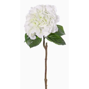 Hortensia artificiel CHIDORI, blanc-vert, 60cm, Ø20cm Hortensia artificiel CHIDORI, blanc-vert, 60cm, Ø20cm