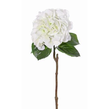 Hortensia artificiel CHIDORI, blanc-vert, 60cm, Ø20cm Hortensia artificiel CHIDORI, blanc-vert, 60cm, Ø20cm