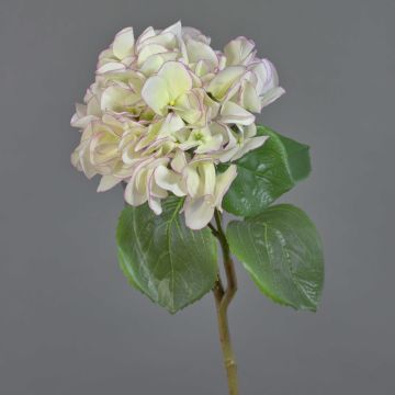 Hortensia artificiel CHIDORI, blanc-violet, 60cm, Ø20cm Hortensia artificiel CHIDORI, blanc-violet, 60cm, Ø20cm