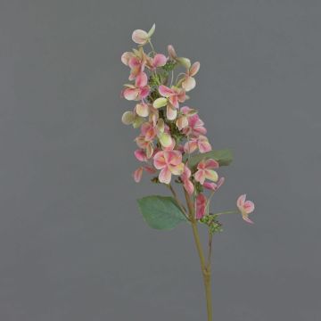 Hortensia Paniculata en soie CHADORA, rose-vert, 75cm, Ø15cm