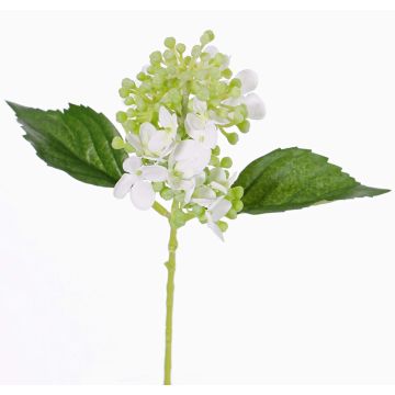 Hortensia artificiel CHABY, blanc-vert, 30cm, Ø9cm Hortensia artificiel CHABY, blanc-vert, 30cm, Ø9cm